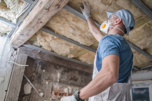 Best Insulation for Specific Applications in Avonia, PA