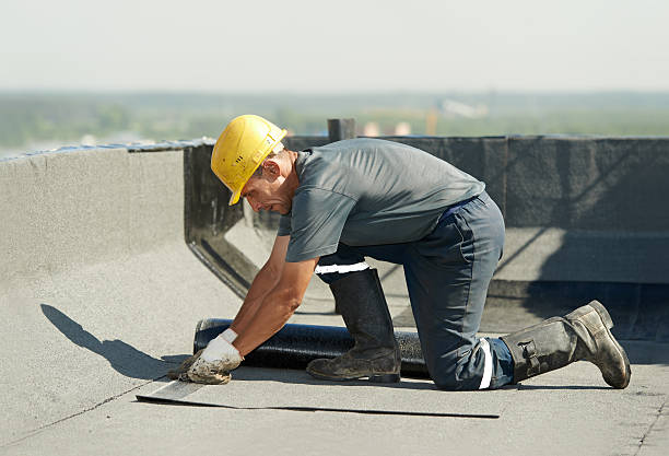 Best Insulation Installation Services in Avonia, PA
